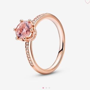 Rose Gold Pink